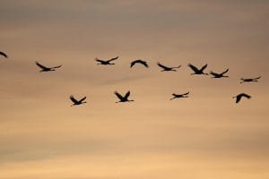 SEO migracija domena uz web hosting i 301 redirekcije za očuvanje pozicija